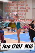 17107_M16-