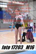 17203_M16-