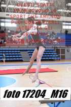 17204_M16-