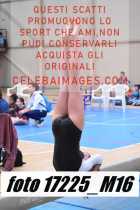 17225_M16-