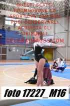 17227_M16-