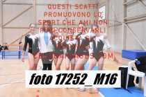 17252_M16-