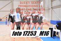 17253_M16-