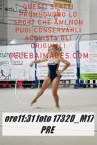 17320_M17-PRE-