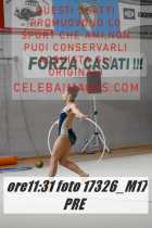 17326_M17-PRE-