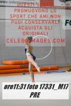 17331_M17-PRE-