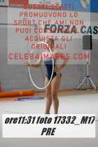 17332_M17-PRE-