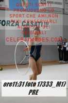17333_M17-PRE-