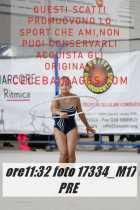17334_M17-PRE-