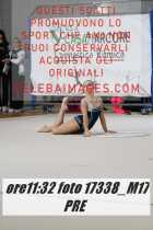 17338_M17-PRE-