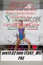 17342_M17-PRE-