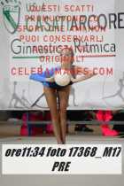 17368_M17-PRE-