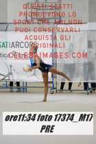 17374_M17-PRE-