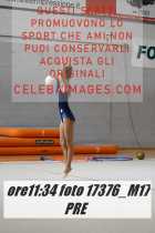 17376_M17-PRE-