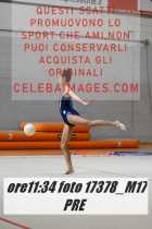 17378_M17-PRE-