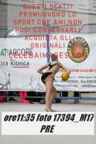 17394_M17-PRE-