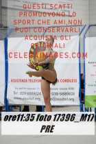 17396_M17-PRE-