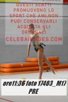 17403_M17-PRE-