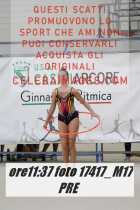 17417_M17-PRE-
