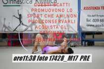 17428_M17-PRE-