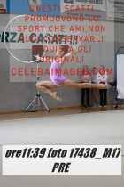 17438_M17-PRE-