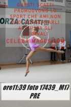 17439_M17-PRE-