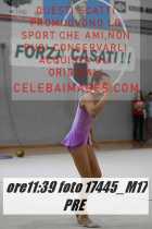17445_M17-PRE-
