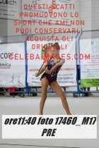 17460_M17-PRE-