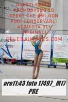 17497_M17-PRE-