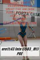 17503_M17-PRE-