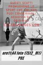 17512_M17-PRE-