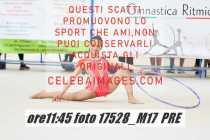 17528_M17-PRE-