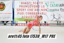 17530_M17-PRE-