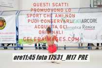17531_M17-PRE-