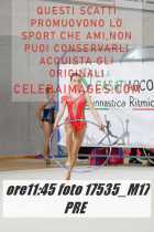 17535_M17-PRE-