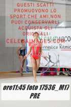 17536_M17-PRE-