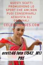 17542_M17-PRE-