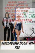 17556_M17-PRE-