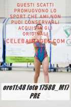 17588_M17-PRE-