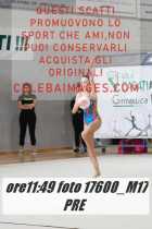 17600_M17-PRE-