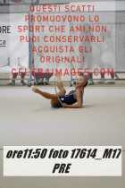 17614_M17-PRE-