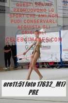 17632_M17-PRE-