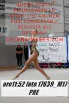 17639_M17-PRE-