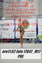 17647_M17-PRE-