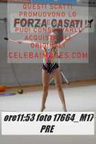 17664_M17-PRE-