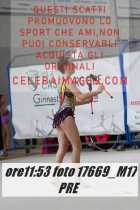 17669_M17-PRE-
