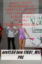 17681_M17-PRE-