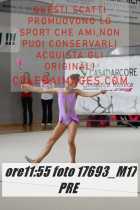 17693_M17-PRE-
