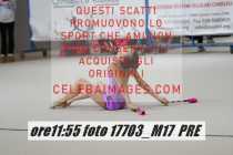 17703_M17-PRE-