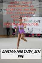 17707_M17-PRE-